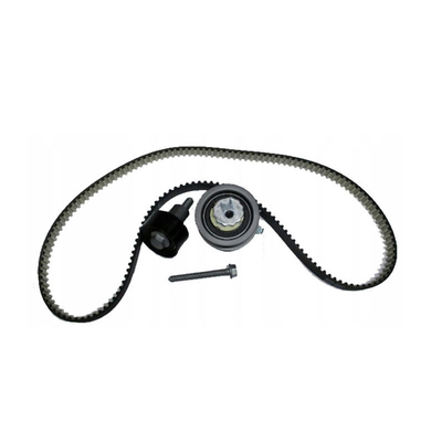 21SKV004 Συσκευή ζώνης χρονομέτρου OEM 04E198119 για BEETLE 9C1 Πρωτότυπη αναφορά αριθ. 21SKV004